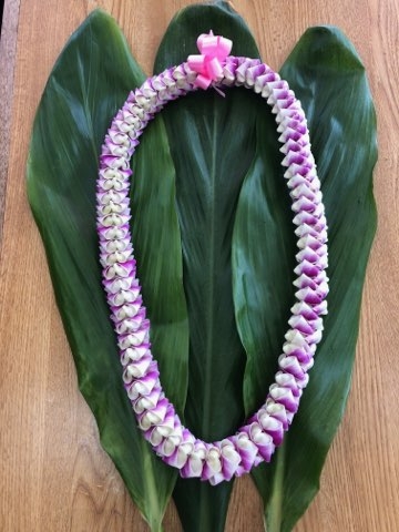 Pāhoehoe | Specialty Orchid Leis