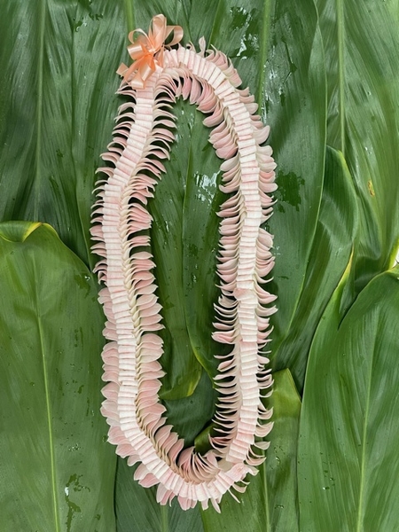 Butterfly Peach | Specialty Orchid Leis