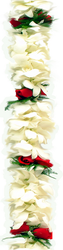 Double White Orchid Red Rose | Cindy's Favorites for Shipping