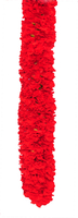 Image Double Red Carnation