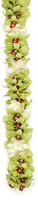 Image Double Green Orchid & Tuberose