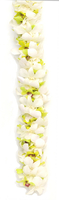 Image Double Green & White Orchid