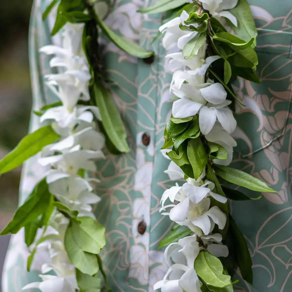 Hilo Maile & White Orchid Twist