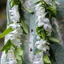 Hilo Maile & White Orchid Twist