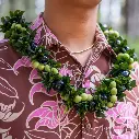 Kukui Mock Orange Sea Grape Twist