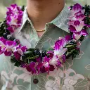 Kukui Ti Leaf & Purple Orchid Twist