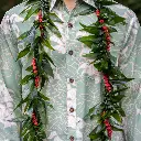 Ti Leaf Maile Style Lei & He'e Twist