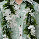 Ti Leaf Maile Style Lei & White Orchid Twist