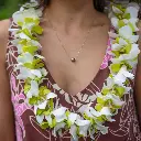 Single Green & White Orchid Mix Lei