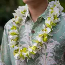 Single Green & White Orchid Mix Lei