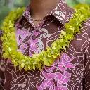Single Green Orchid Lei
