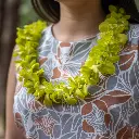 Single Green Orchid Lei