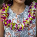 Single Purple & Green Orchid Mix Lei