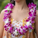 Single Purple Orchid & Carnation Mix Lei