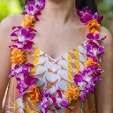 Single Purple Orchid & Lantern Ilima Mix Lei