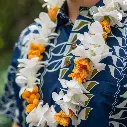 Single White Orchid & Lantern Ilima Mix Lei