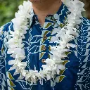 Single White Orchid Lei