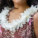 Single White Orchid Lei