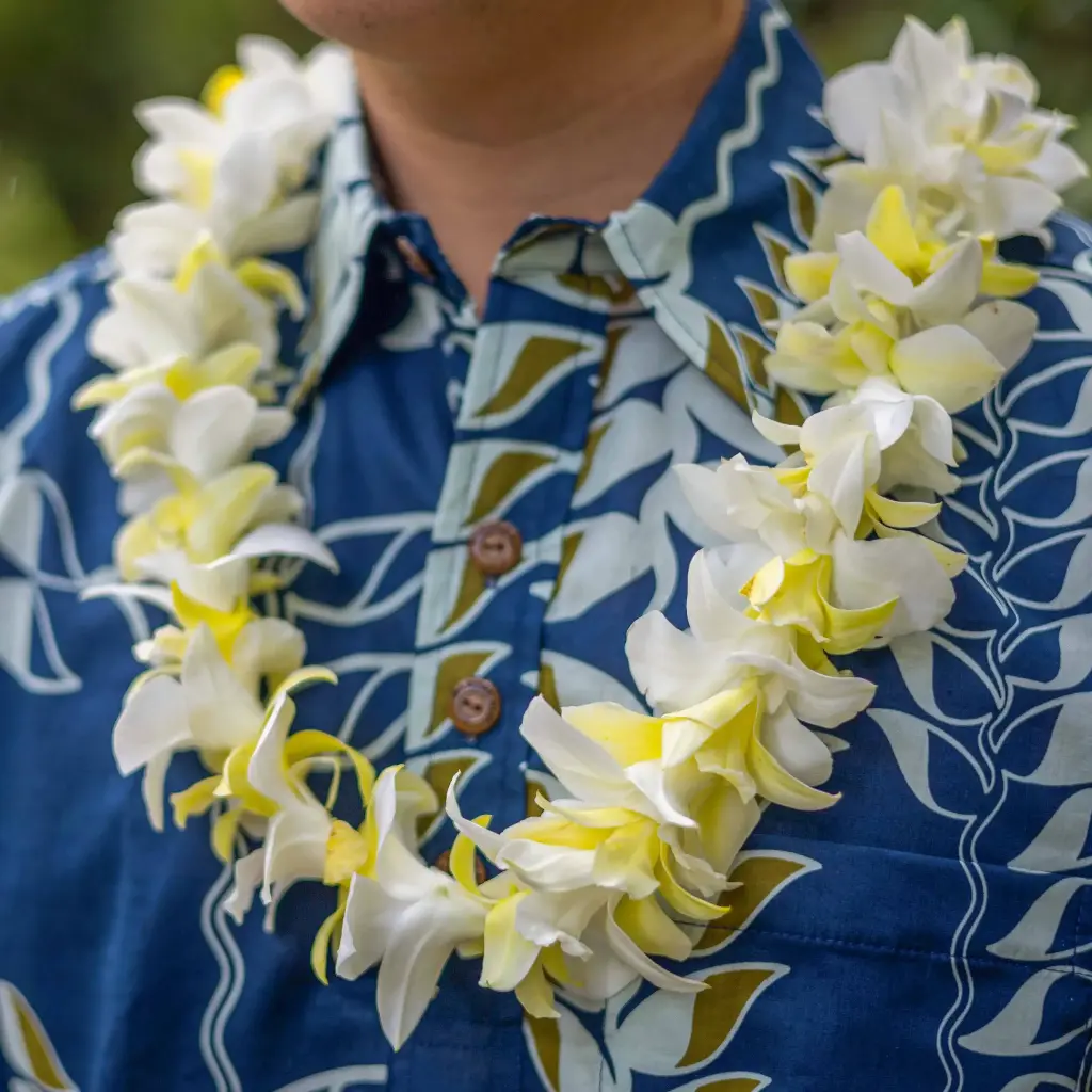 Single Yellow & White Orchid Mix Lei