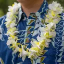 Single Yellow & White Orchid Mix Lei