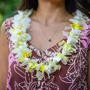 Single Yellow & White Orchid Mix Lei