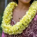 Double Yellow Carnation Lei