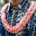 Butterfly Coral Lei