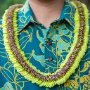 Butterfly Green Lei