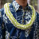 Butterfly Green White Lei