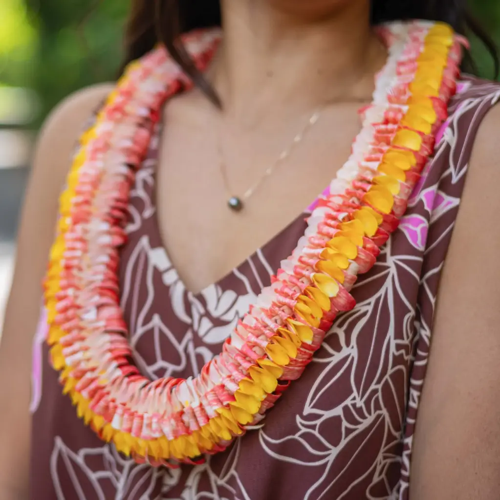 Butterfly Pink Yellow Lei