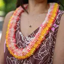 Butterfly Pink Yellow Lei