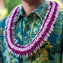 Butterfly Purple White Lei