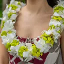 Double Green & White Orchid Lei