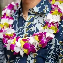 Double Green, Purple & White Orchid Lei