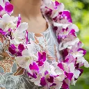 Double Purple & White Orchid Lei