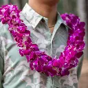 Double Purple Orchid Lei