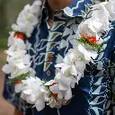 Double White Orchid & Rose Lei