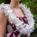 Double White Orchid Lei
