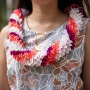 Fancy Robin Lei - Coral White Purple