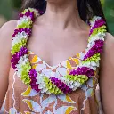 Fancy Robin Lei - Green Purple White