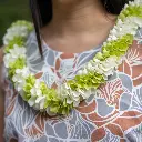Fancy Robin Lei - Green White