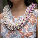 Mauli Hiwa Lei