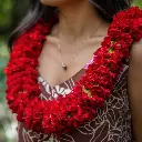 Double Red Carnation Lei