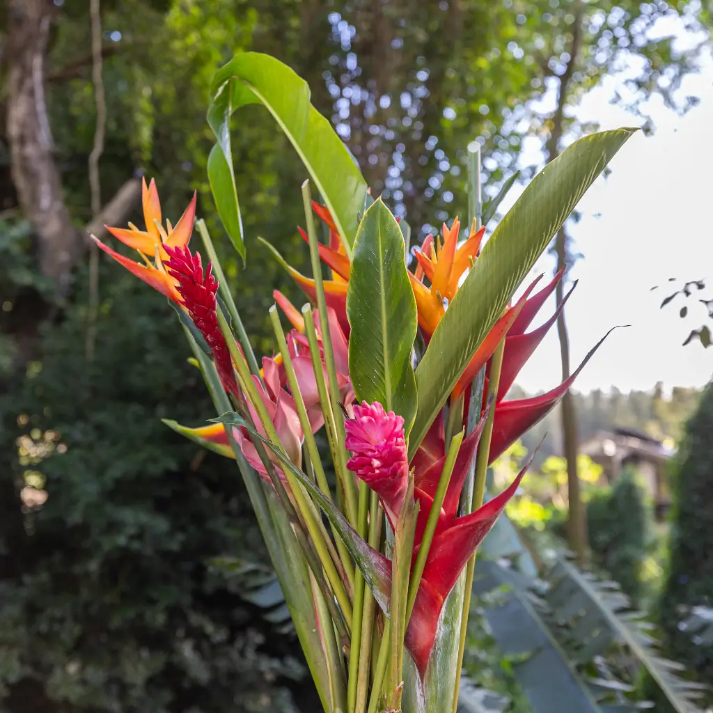 16-24 Assorted Tropical Stems