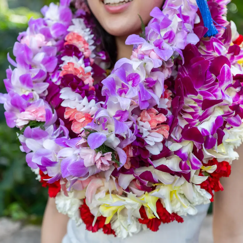 Female Graduation Set 3