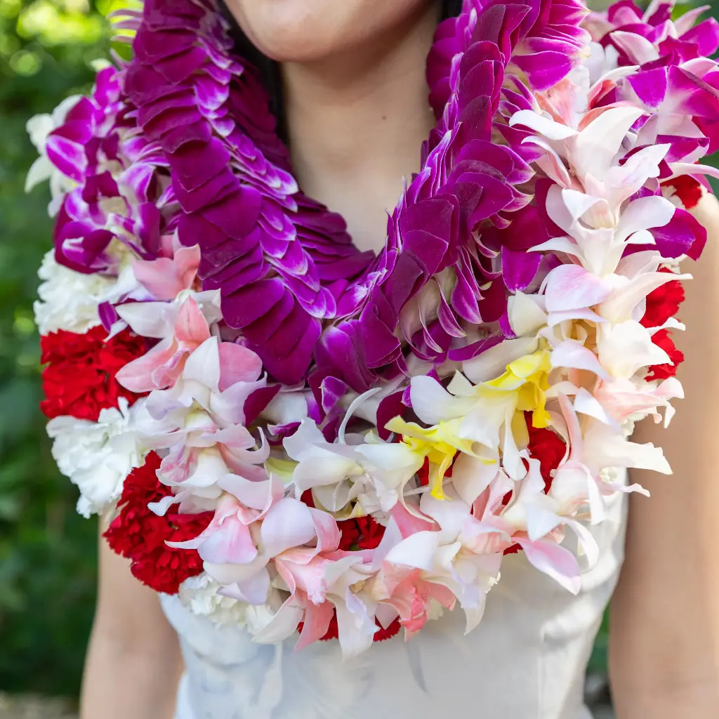 Female Graduation Set 2
