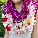 Female Graduation Set 2
