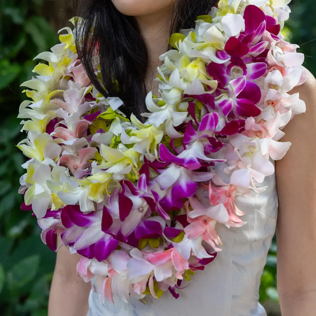 Female Graduation Set 1
