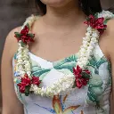 Everlasting Double Pikake Rose Lei