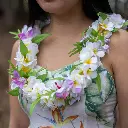 Everlasting Double Plumeria Lei